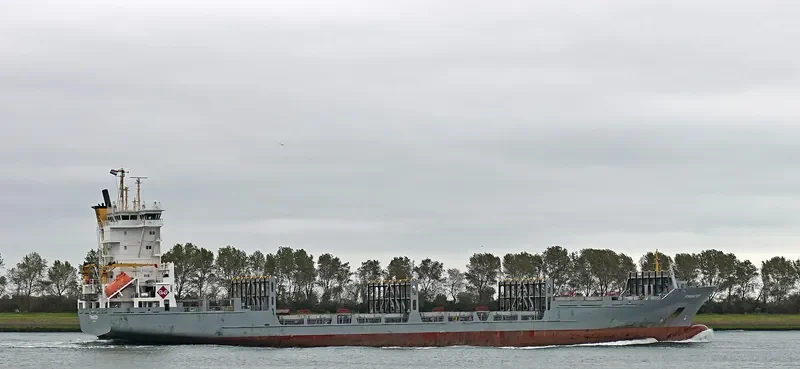 FESCO MONERON Container Ship IMO 9277412 photo 6