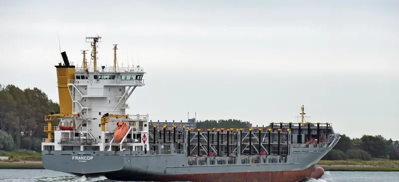 FESCO MONERON Container Ship IMO 9277412 photo 7