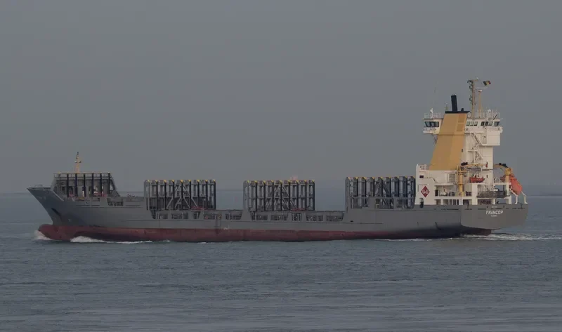 FESCO MONERON Container Ship IMO 9277412 photo 9