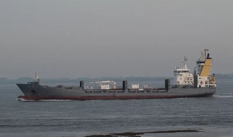FESCO MONERON Container Ship IMO 9277412 photo 10