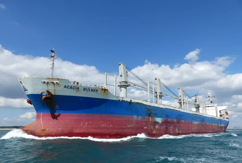 SASSY SOFIA Bulk Carrier IMO 9277474 photo 2