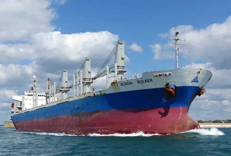 SASSY SOFIA Bulk Carrier IMO 9277474 photo 3