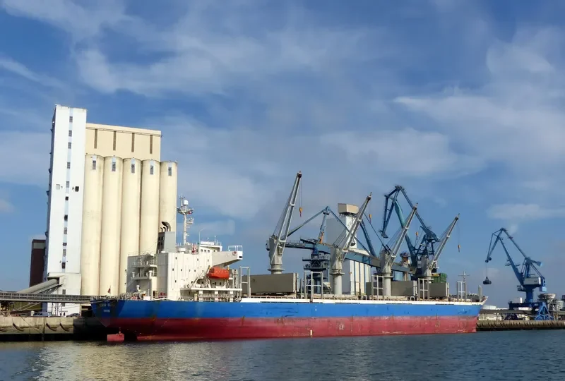 SASSY SOFIA Bulk Carrier IMO 9277474 photo 4