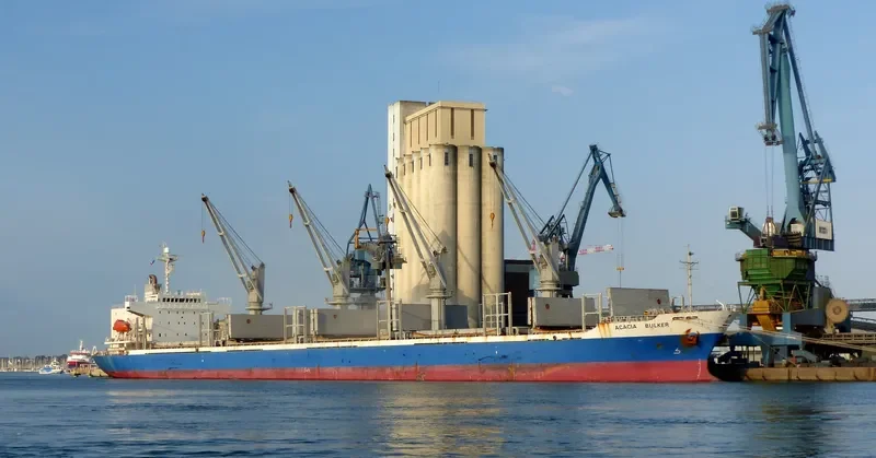 SASSY SOFIA Bulk Carrier IMO 9277474 photo 5
