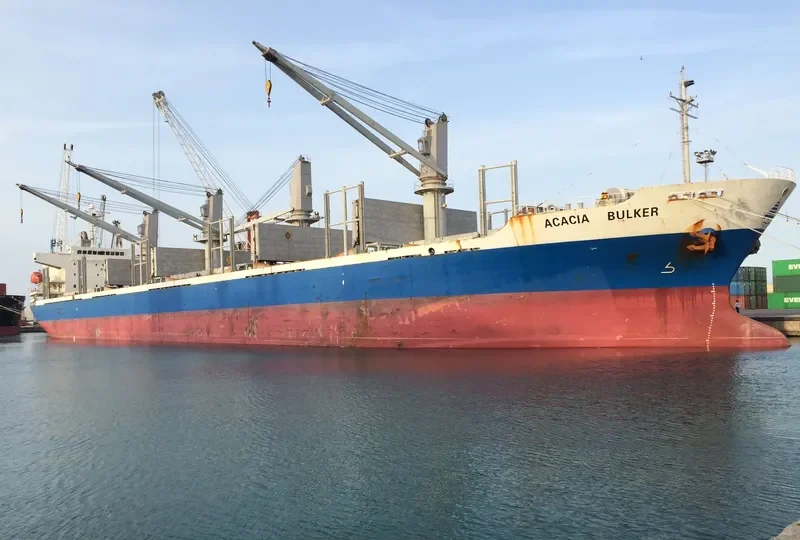 SASSY SOFIA Bulk Carrier IMO 9277474 photo 6