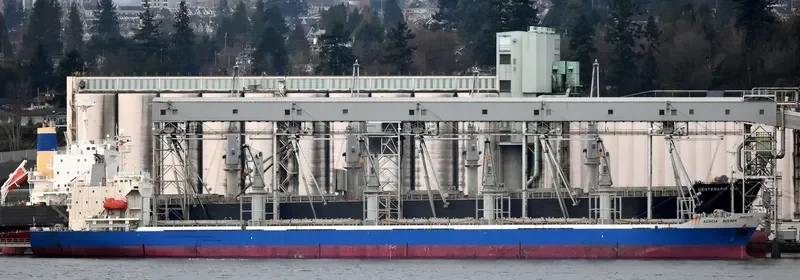 SASSY SOFIA Bulk Carrier IMO 9277474 photo 7
