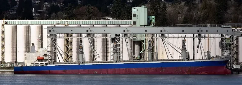 SASSY SOFIA Bulk Carrier IMO 9277474 photo 8