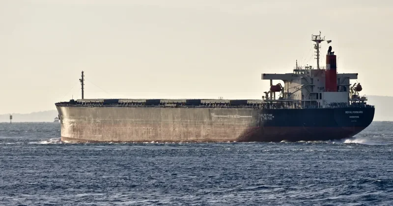 ROYAL FORWARD Bulk Carrier IMO 9277553