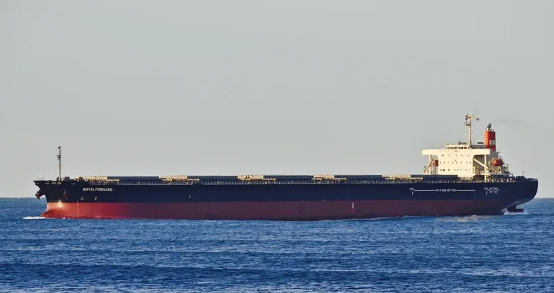 ROYAL FORWARD Bulk Carrier IMO 9277553 photo 2