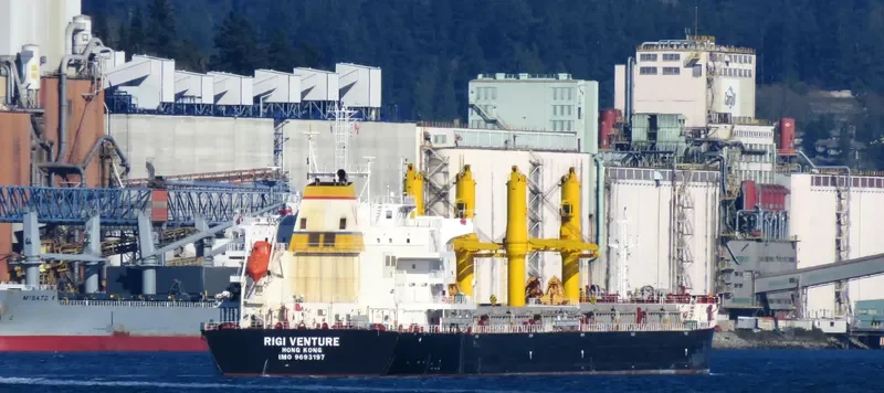 ROYAL FORWARD Bulk Carrier IMO 9277553 photo 3
