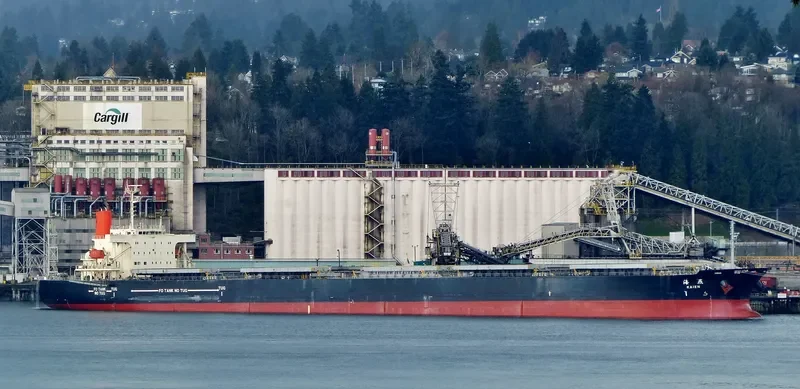 ROYAL FORWARD Bulk Carrier IMO 9277553 photo 8
