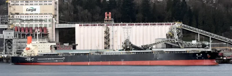 ROYAL FORWARD Bulk Carrier IMO 9277553 photo 9