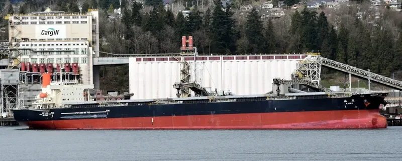 ROYAL FORWARD Bulk Carrier IMO 9277553 photo 10