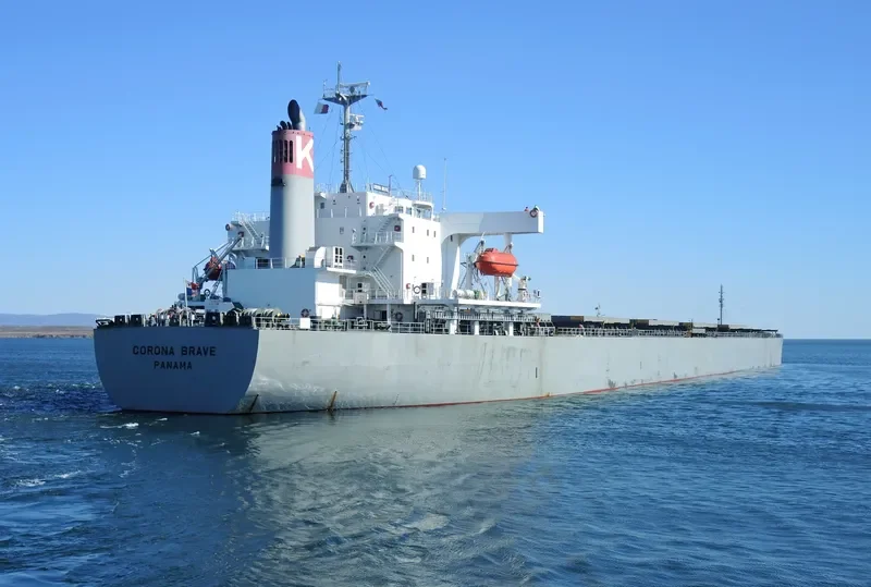 CORONA BRAVE Bulk Carrier IMO 9277577 photo 4