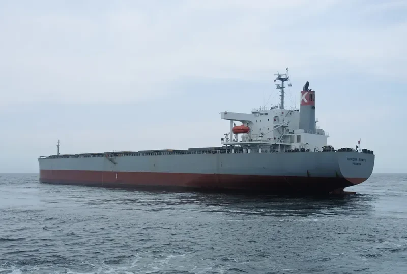 CORONA BRAVE Bulk Carrier IMO 9277577 photo 5