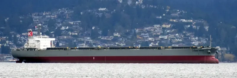 CORONA BRAVE Bulk Carrier IMO 9277577 photo 9