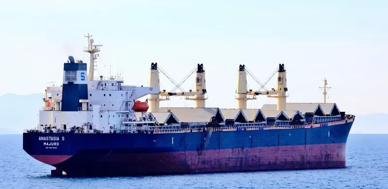 ANASTASIA S Bulk Carrier IMO 9277656 photo 10