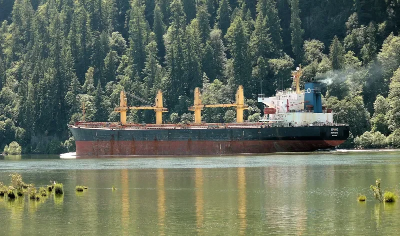 HUA SHENG 02 Bulk Carrier IMO 9277668 photo 3