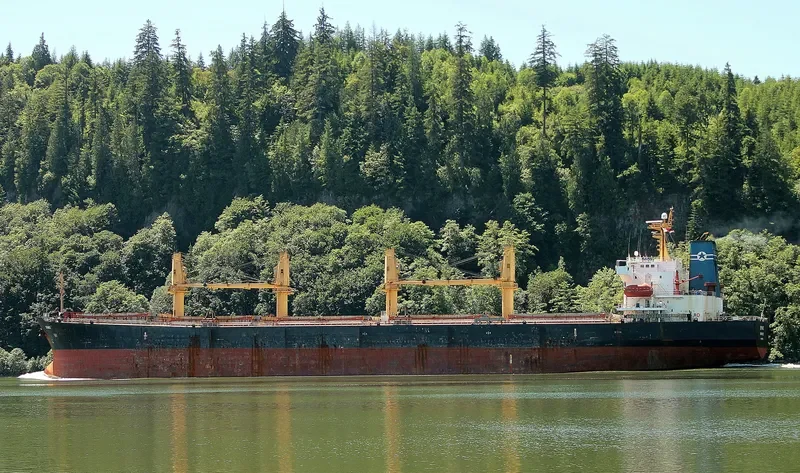 HUA SHENG 02 Bulk Carrier IMO 9277668 photo 4