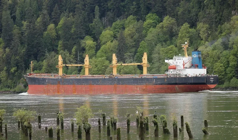 HUA SHENG 02 Bulk Carrier IMO 9277668 photo 5