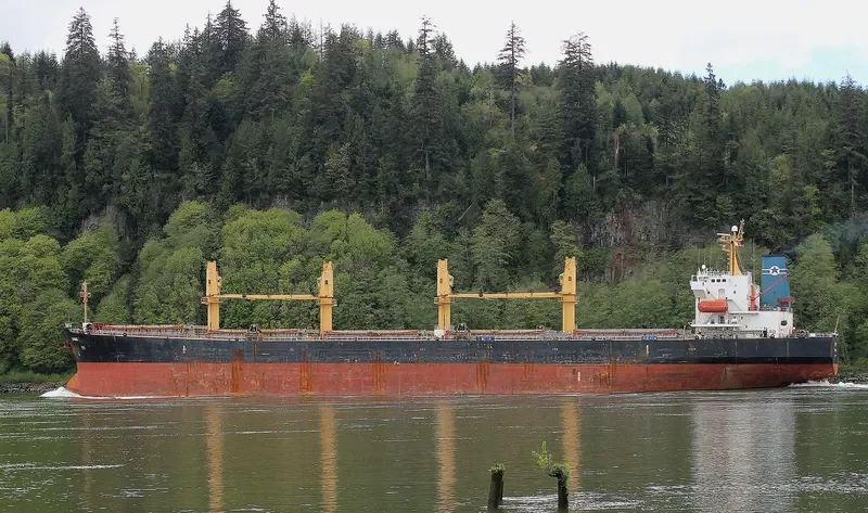 HUA SHENG 02 Bulk Carrier IMO 9277668 photo 6
