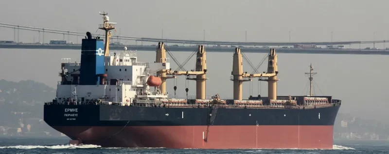 HUA SHENG 02 Bulk Carrier IMO 9277668 photo 10