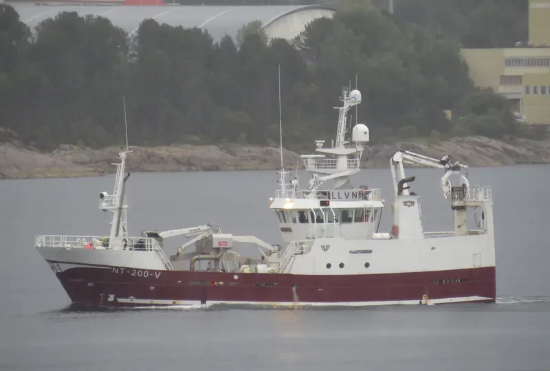 AMALIE General Cargo IMO 9277670 photo 5