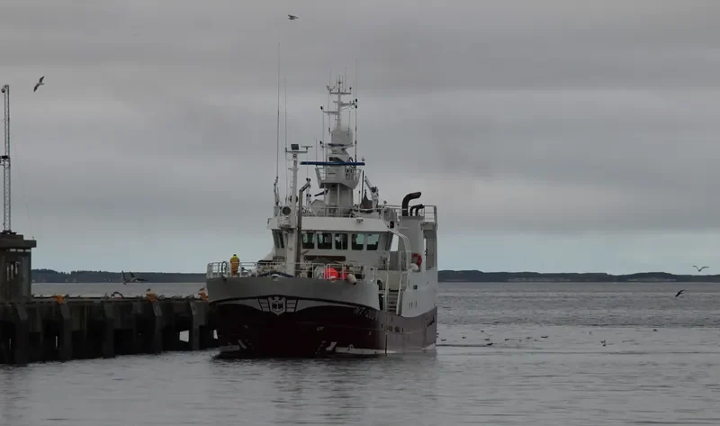 AMALIE General Cargo IMO 9277670 photo 8