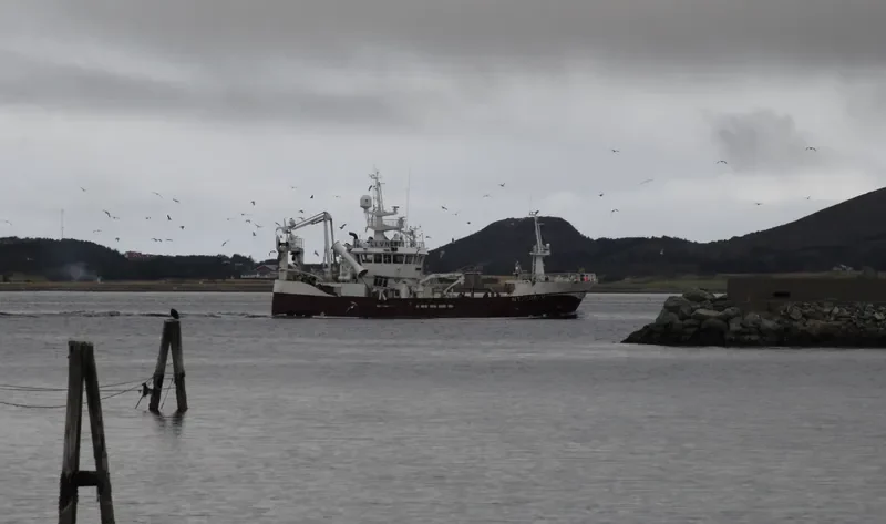 AMALIE General Cargo IMO 9277670 photo 9