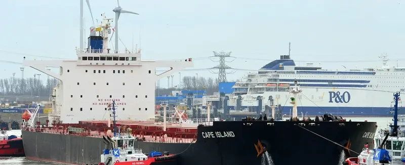 CAPE ISLAND Bulk Carrier IMO 9277711 photo 10