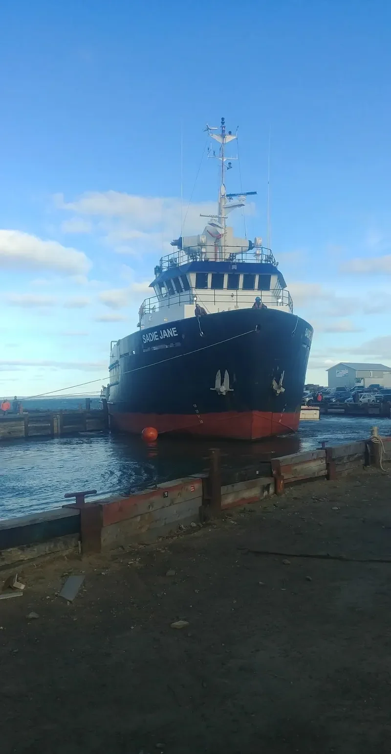 SADIE JANE General Cargo IMO 9277852