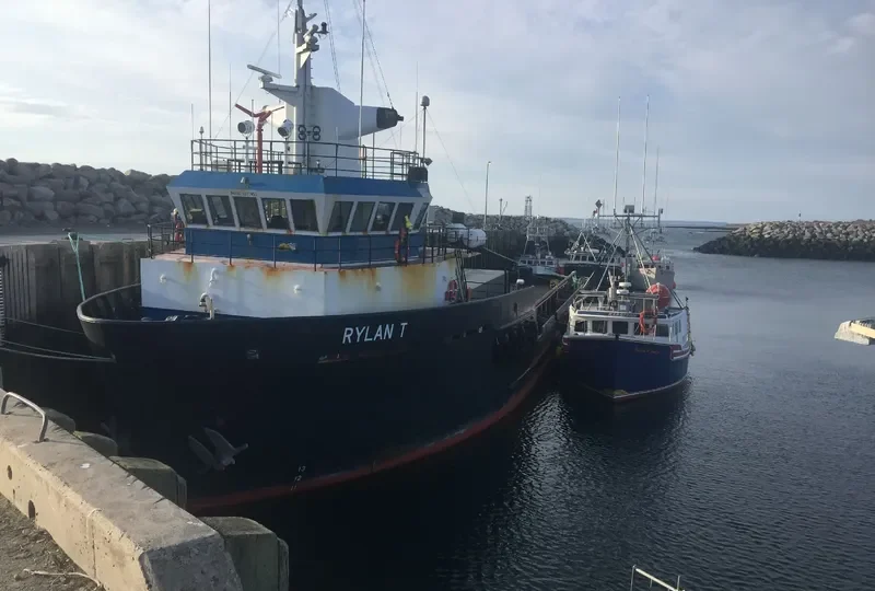 SADIE JANE General Cargo IMO 9277852 photo 3