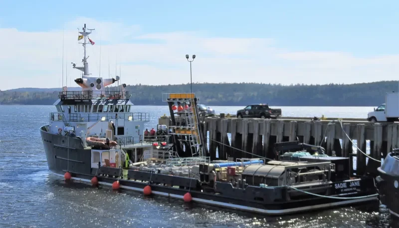 SADIE JANE General Cargo IMO 9277852 photo 6