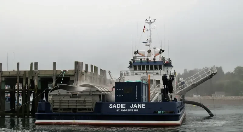 SADIE JANE General Cargo IMO 9277852 photo 9