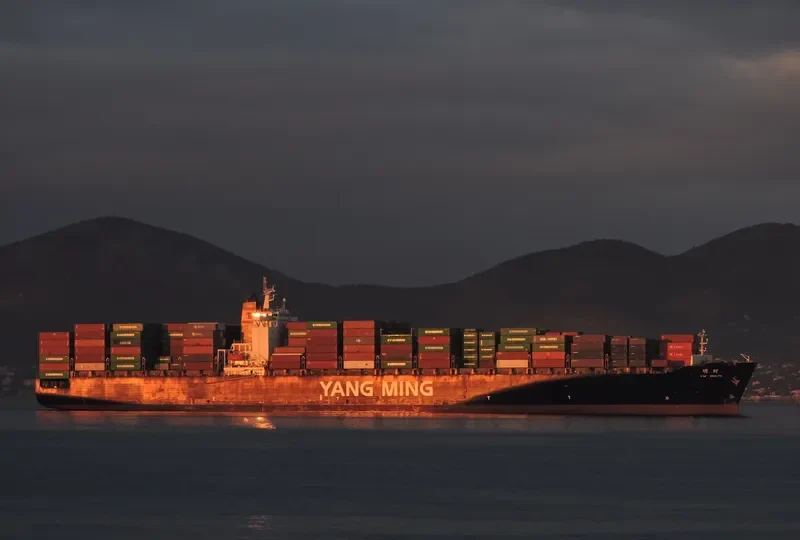 YM WEALTH Container Ship IMO 9278088