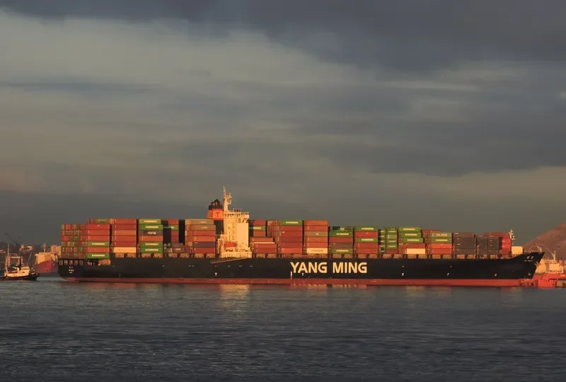 YM WEALTH Container Ship IMO 9278088 photo 2