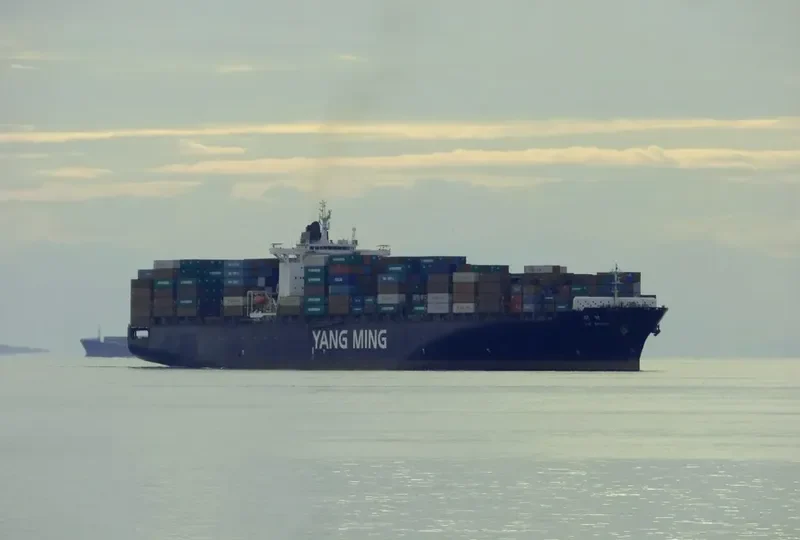 YM WEALTH Container Ship IMO 9278088 photo 3