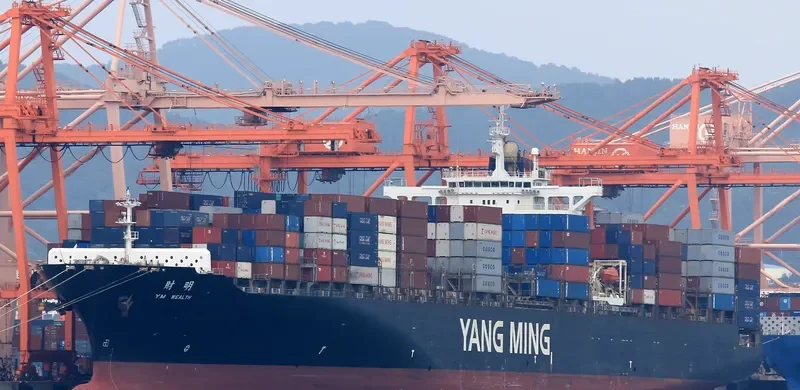 YM WEALTH Container Ship IMO 9278088 photo 4