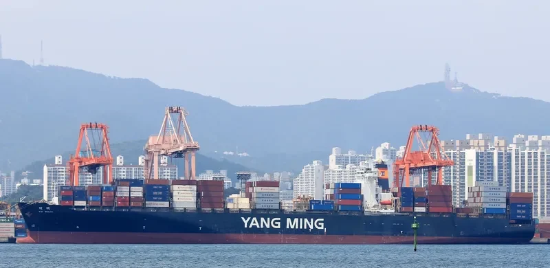 YM WEALTH Container Ship IMO 9278088 photo 6