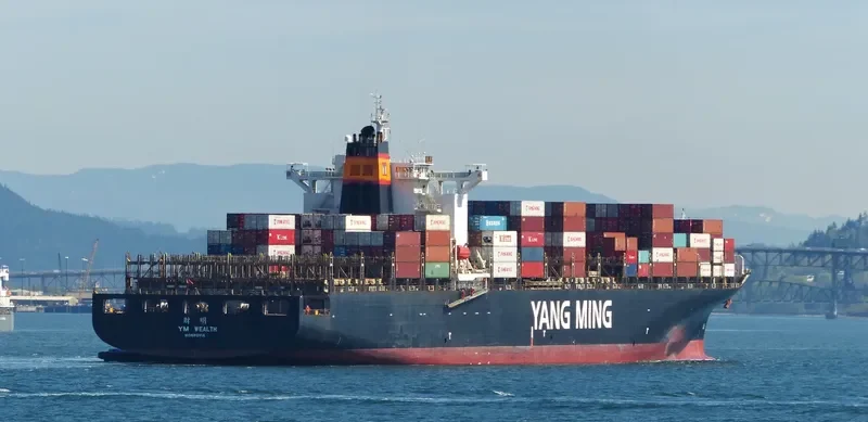 YM WEALTH Container Ship IMO 9278088 photo 10