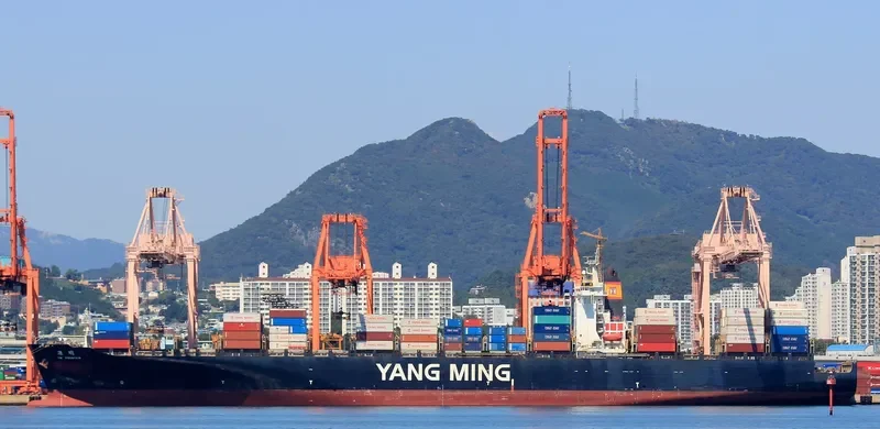 YM FOUNTAIN Container Ship IMO 9278090 photo 8