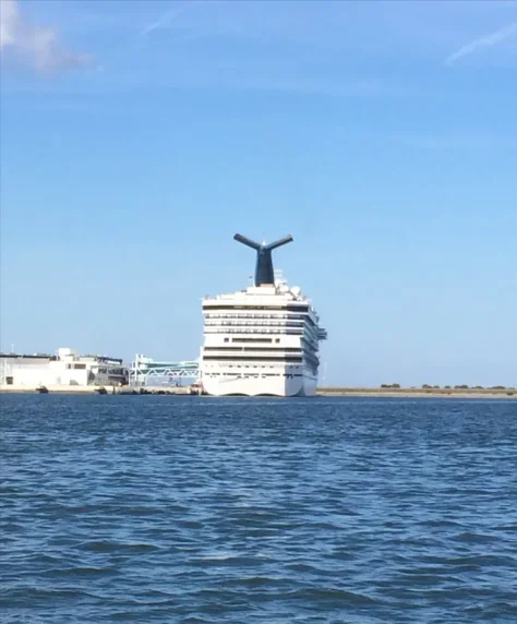 CARNIVAL LIBERTY Passenger Ship IMO 9278181