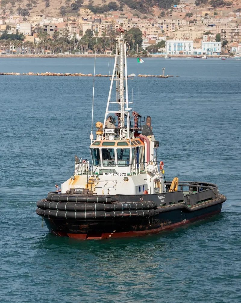 TASSINA 2 General Cargo IMO 9278375 photo 2