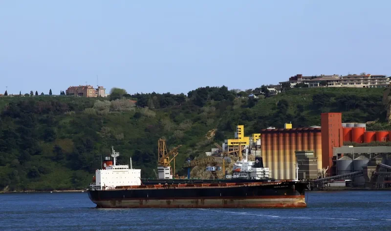 PANAMAX BREEZE Bulk Carrier IMO 9278430 photo 6