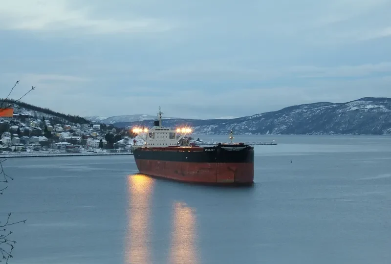 ALAM CETUS Bulk Carrier IMO 9278521 photo 6