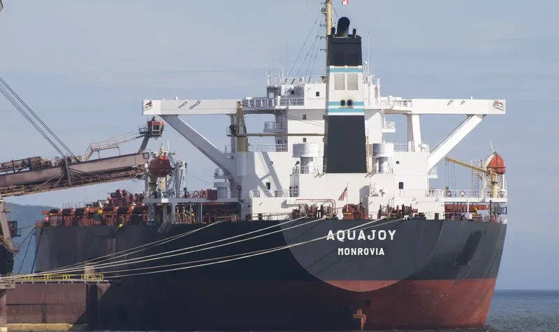 ALAM CETUS Bulk Carrier IMO 9278521 photo 8