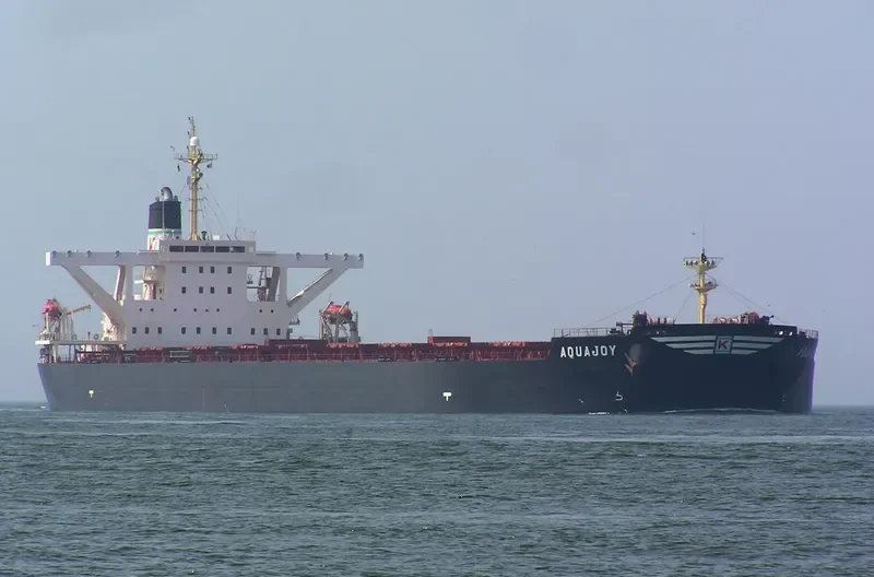 ALAM CETUS Bulk Carrier IMO 9278521 photo 9