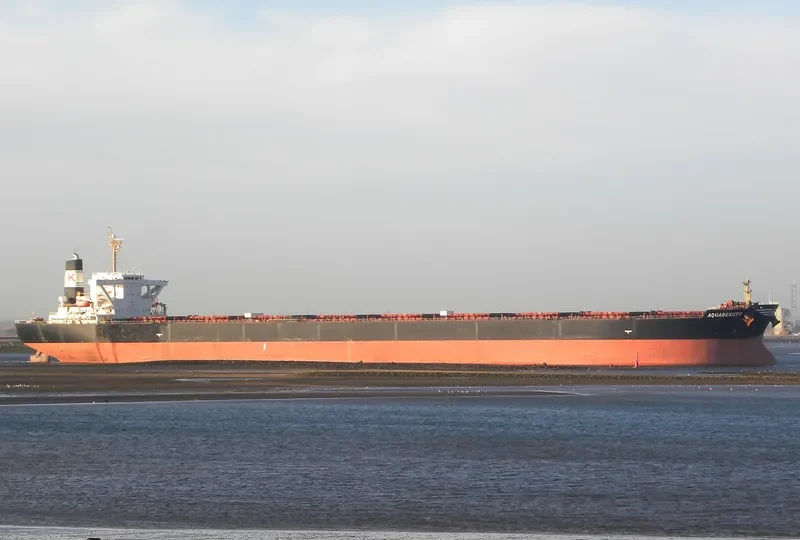 ANDROS BEAUTY Bulk Carrier IMO 9278545 photo 3