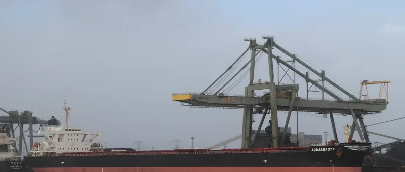 ANDROS BEAUTY Bulk Carrier IMO 9278545 photo 6