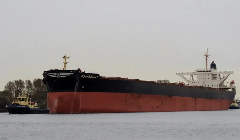 ANDROS BEAUTY Bulk Carrier IMO 9278545 photo 7